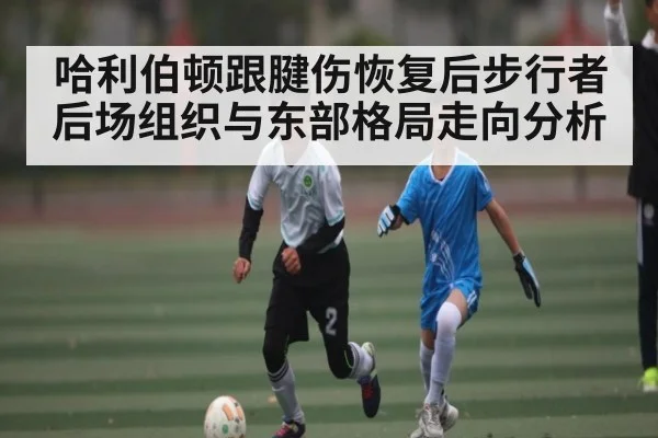 哈利伯顿跟腱伤恢复后步行者后场组织与东部格局走向分析
